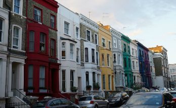 What Is An HMO?