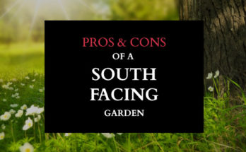 Pros & Cons Of A South Facing Garden