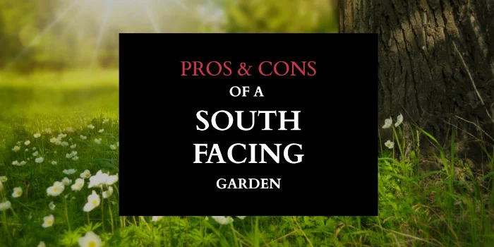 Pros & Cons Of A South Facing Garden