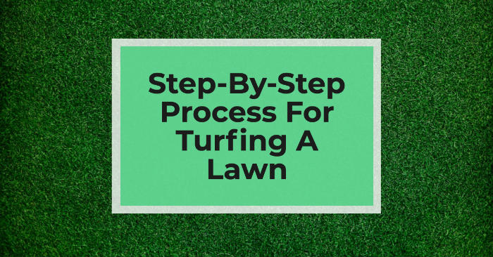 Process for turfing a lawn