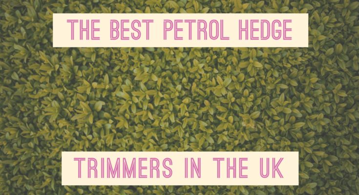 Best Petrol Hedge Trimmers