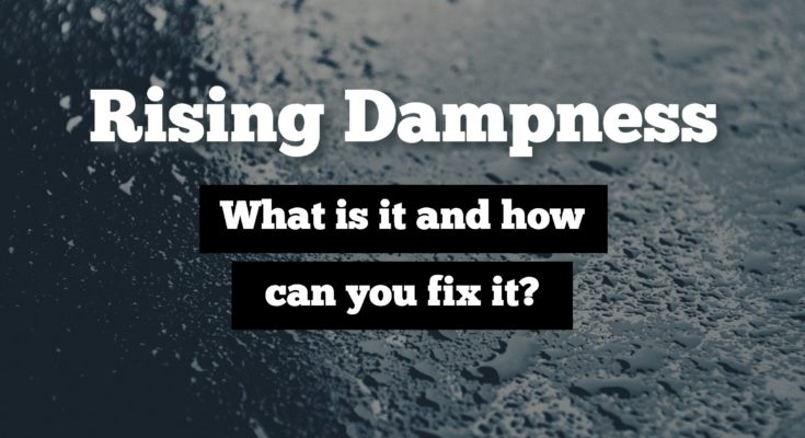 rising dampness