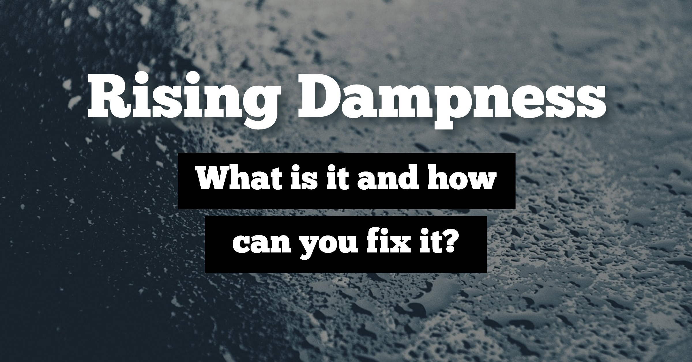 rising dampness