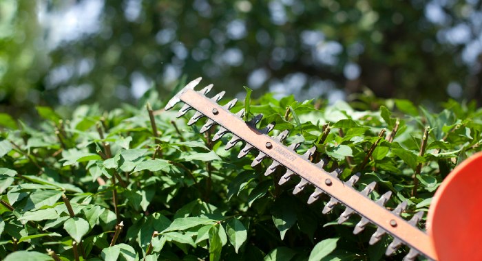 Hedge Trimmers UK