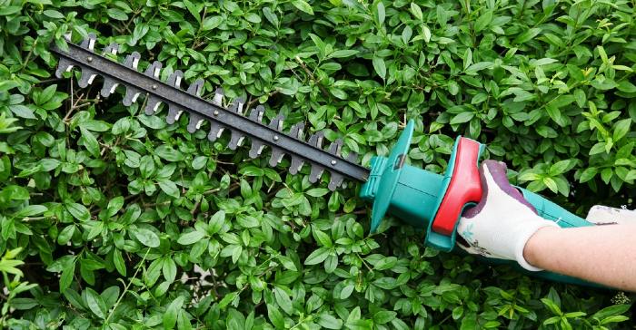 Petrol vs Electric Corded Vs Cordless Hedge Trimmer