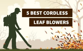 Best Cordless Leaf Blowers