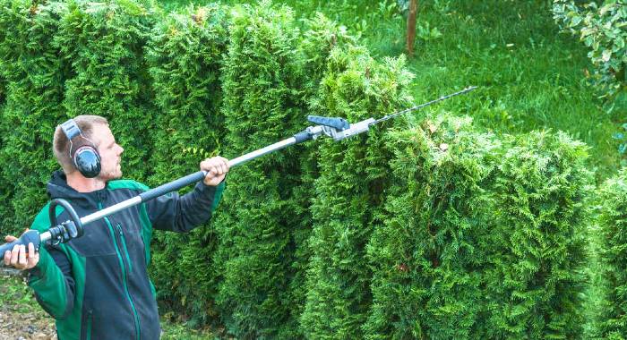 How Does A Long Reach Hedge Trimmer Work?