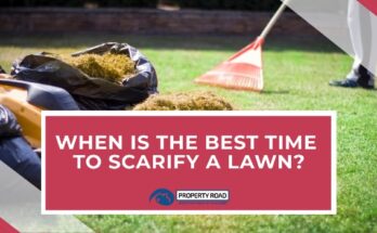 When Is The Best Time To Scarify A Lawn