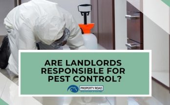 Are Landlords Responsible For Pest Control_