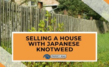 Selling A House With Japanese Knotweed