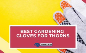 Best Gardening Gloves For Thorns