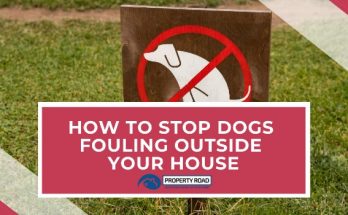 How To Stop Dogs Fouling Outside Your House