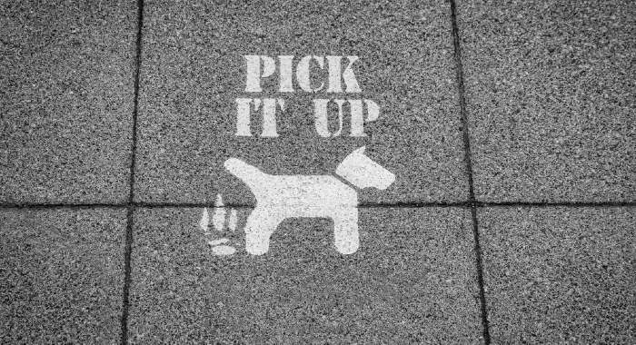 When you notice dog fouling outside your home, the first step is to clean it asap.