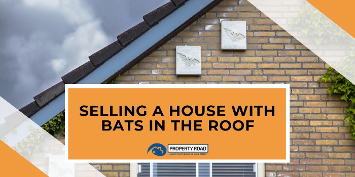 Selling A House With Bats In The Roof